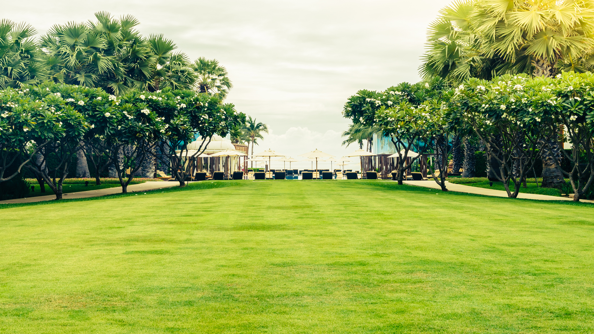 Autonomous Mowing with RealSense™ and Greenzie